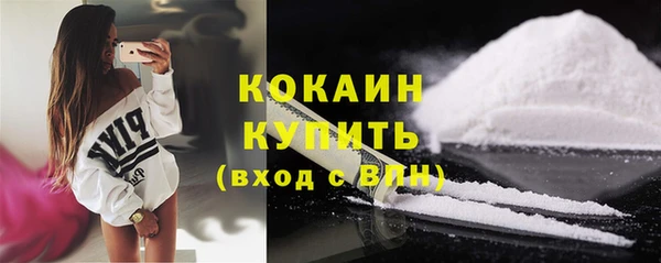 дживик Ладушкин