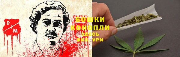 дживик Ладушкин